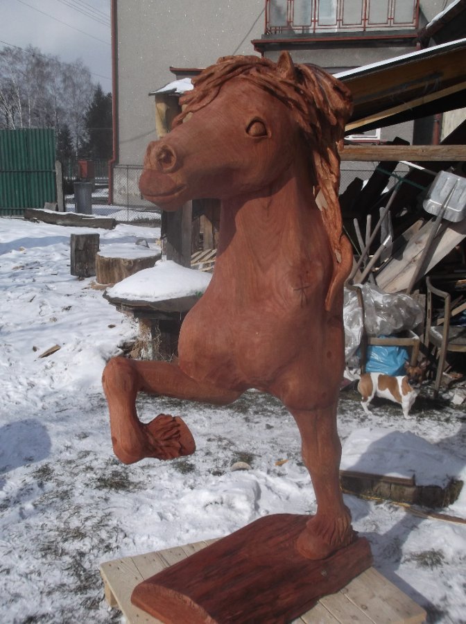 Islandský kůň.