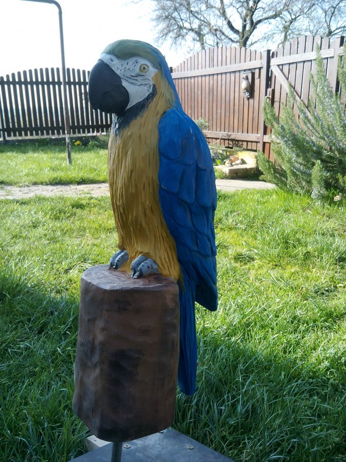 Papoušek-dekorace hřiště
