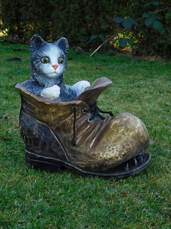 Kotě v botě
