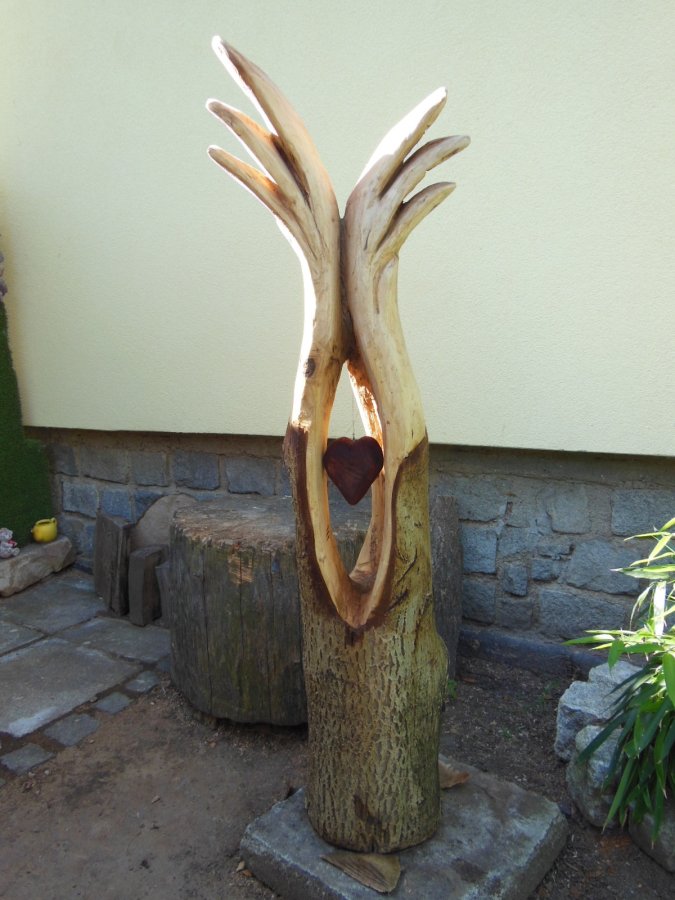 Že by anděl.